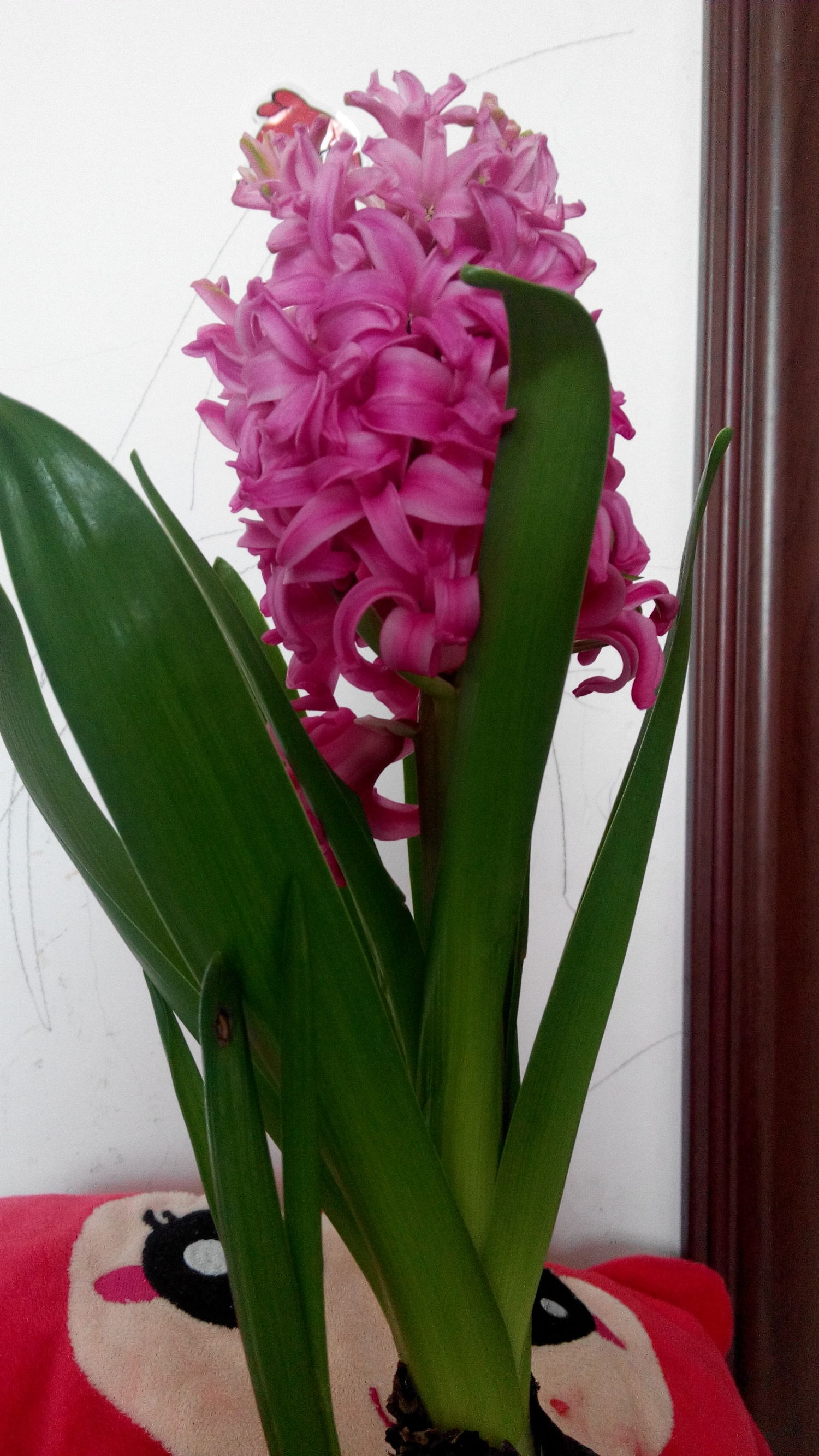 红米1s移动版和红米有什么区别,红米1s有必要升级吗