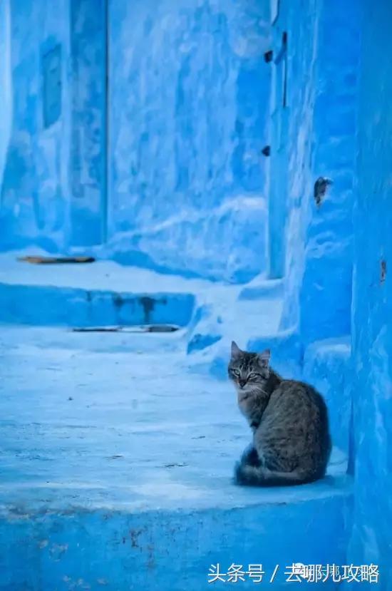 突尼斯对中国人免签最新消息,突尼斯对中国游客免签新华社