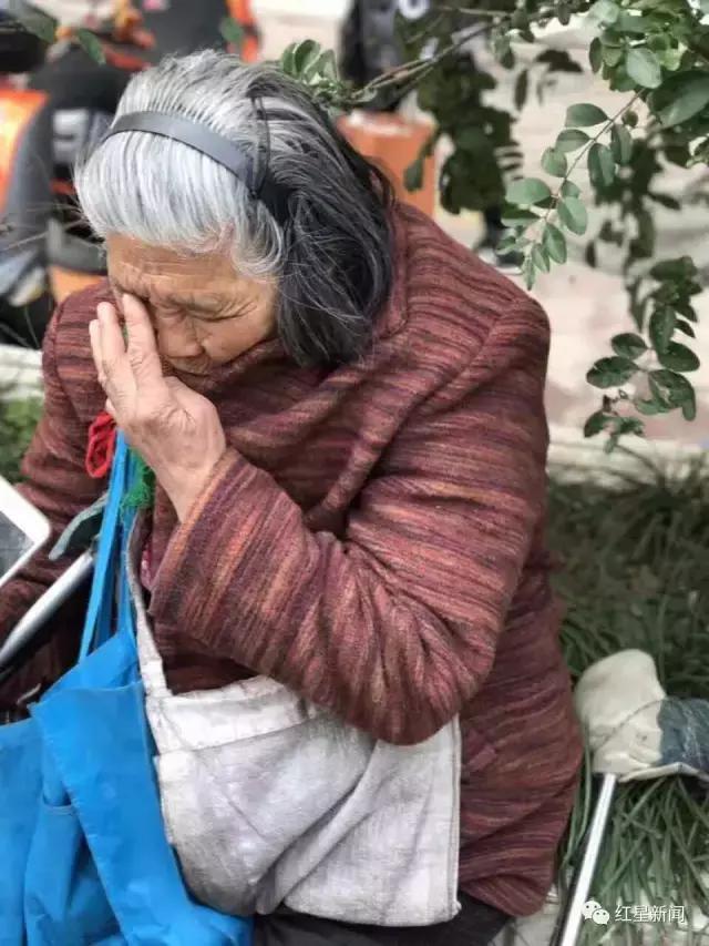 看到捡垃圾吃的老人要报警吗,吃树叶的老太太