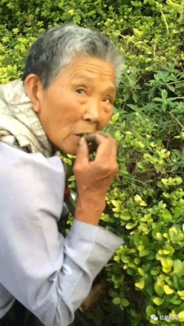 看到捡垃圾吃的老人要报警吗,吃树叶的老太太