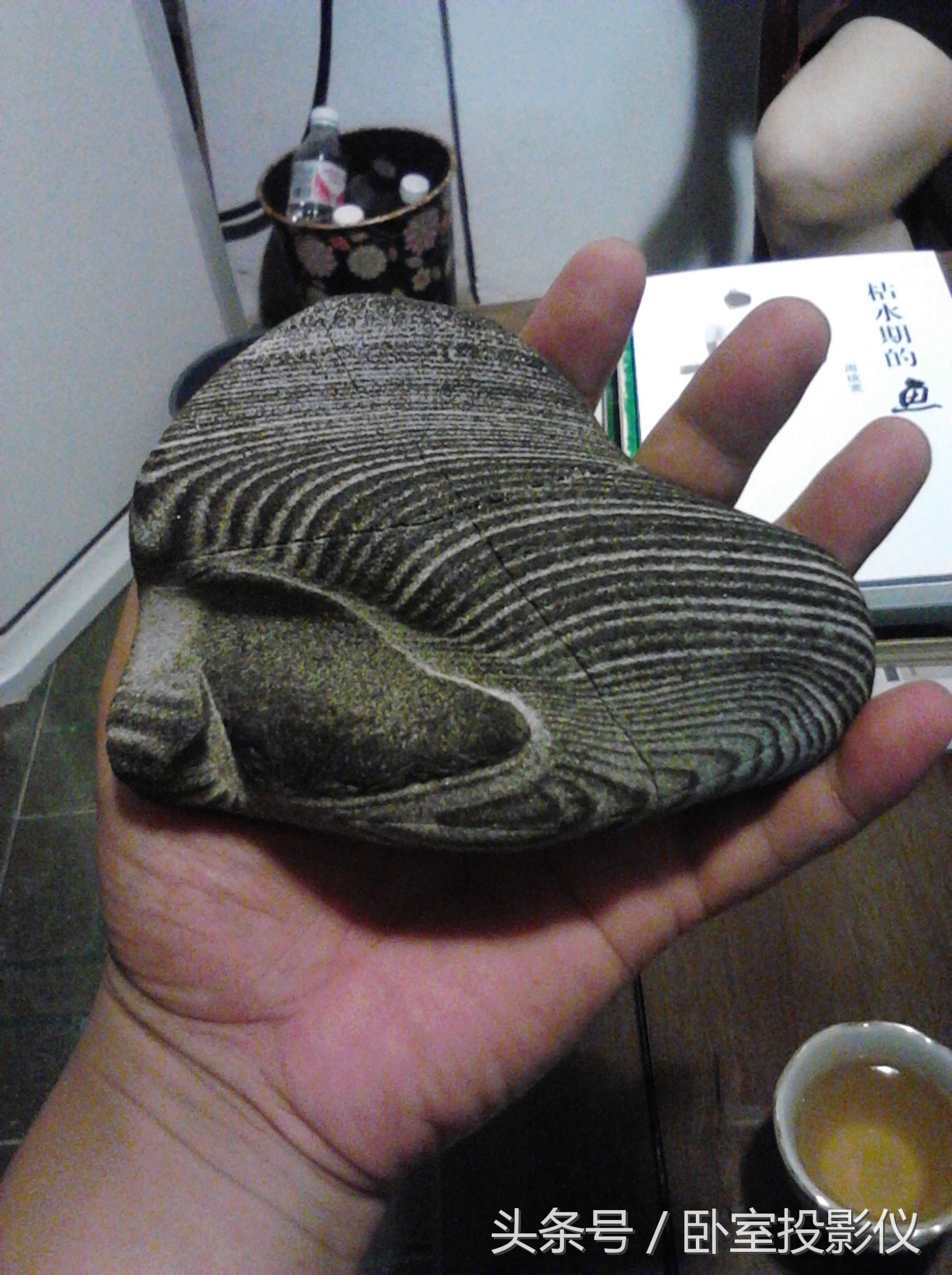 柳州曾经是建成区最大城市,柳州一个永远让你感到惊喜的城市