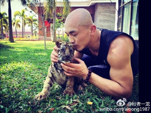 一龙展示金钟罩铁布衫被ko,一龙ko一龙完整版