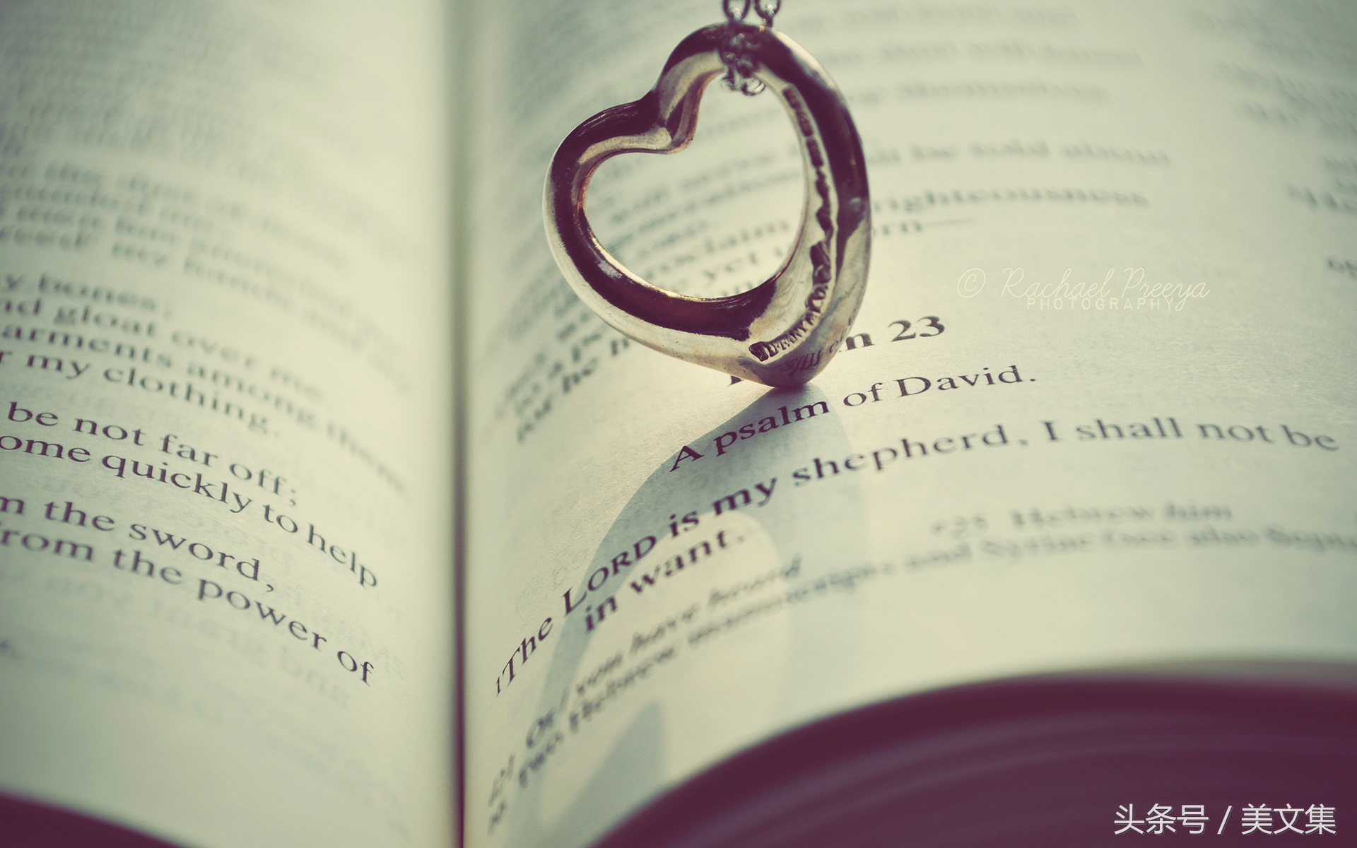 没有我，深夜的你该怎么样