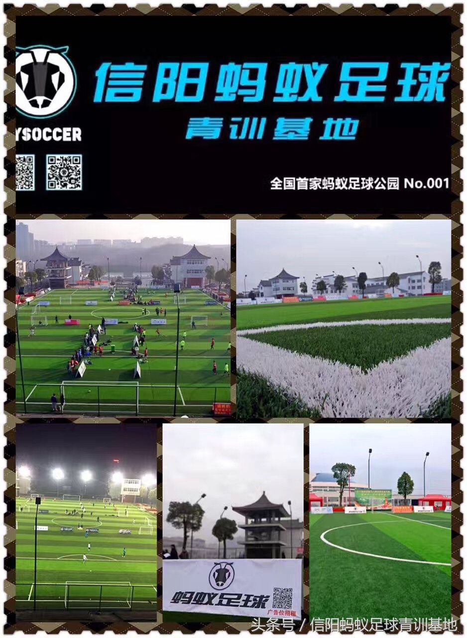 信阳市中考体育训练营,信阳市浉河区蚂蚁足球俱乐部