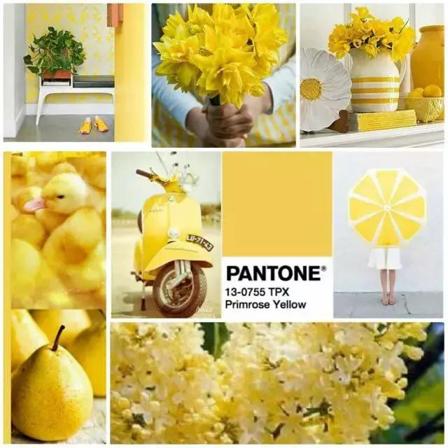 春天美甲2020显白小雏菊,春日小清新粉色系美甲