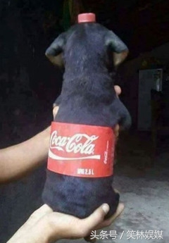 今日笑了么：男子踩哭熟睡中的孩子，居然还那么理直气壮！