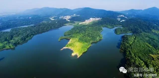 南京梅花赏花游记,好玩的摘草莓胜地打卡