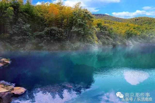 南京梅花赏花游记,好玩的摘草莓胜地打卡