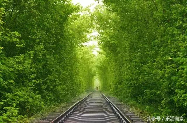 南京梅花赏花游记,好玩的摘草莓胜地打卡