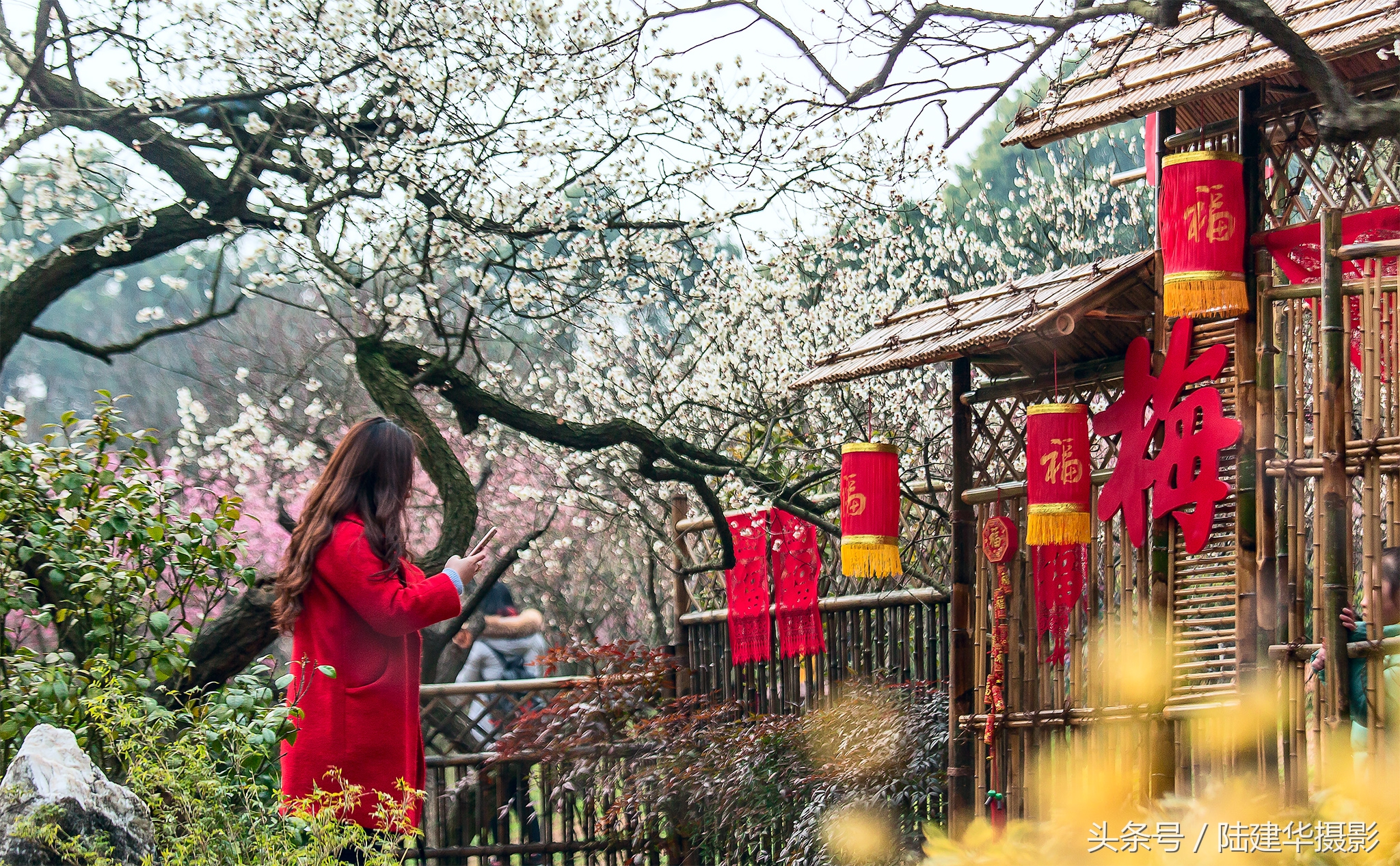 无锡梅园,春风十里不如你