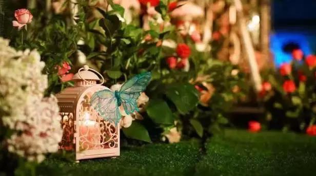 成都比较贵的餐厅,成都高端餐厅哪里多