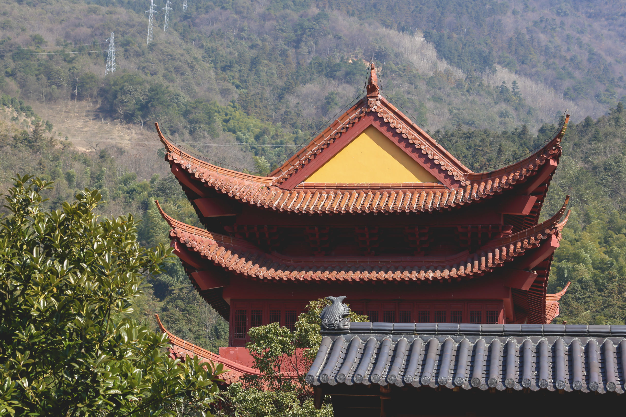 香港香火最旺的黄大仙庙,香港黄大仙庙为什么香火鼎盛