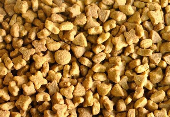 都说情人节吃狗粮，但是你知道狗粮到底什么味么？亲测体验！