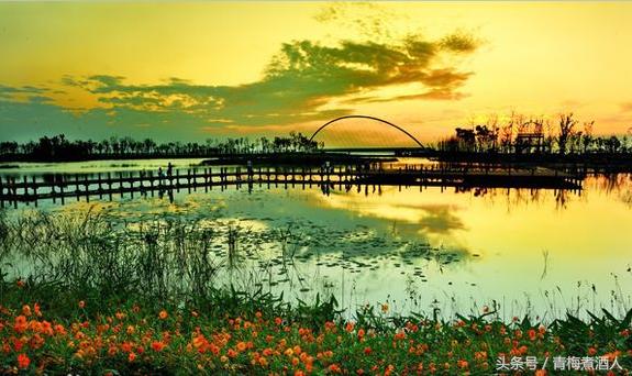 江苏一个四线城市,被誉为地球上的“生命圣地”