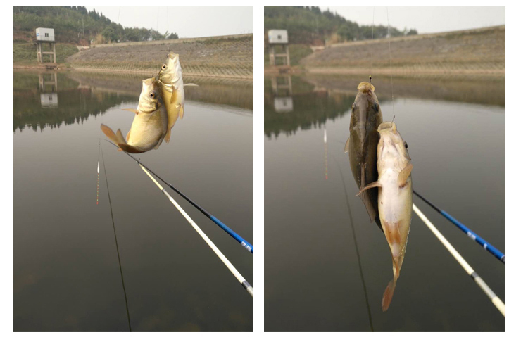 空钩悟道－禅隐超轻鱼竿