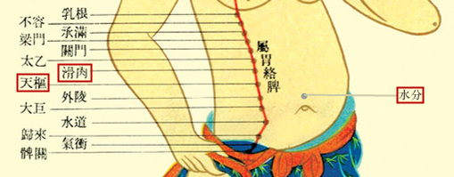 字里藏医全文及解释,字里藏医中医知识