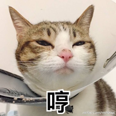 男子买错机票班次改签,男子误抢特价机票后退票