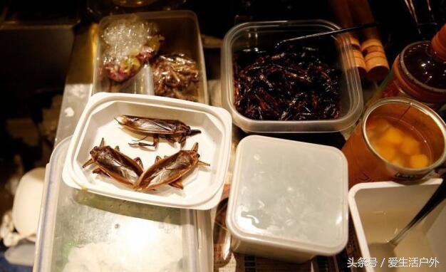 你见过用蟑螂面包虫等做的高级西餐和酒水吗？最后一个口味太重了