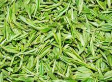 “互联网+”让赣南茶香飘远方