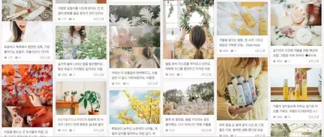 nars值得购买的单品,nars有什么单品值得买