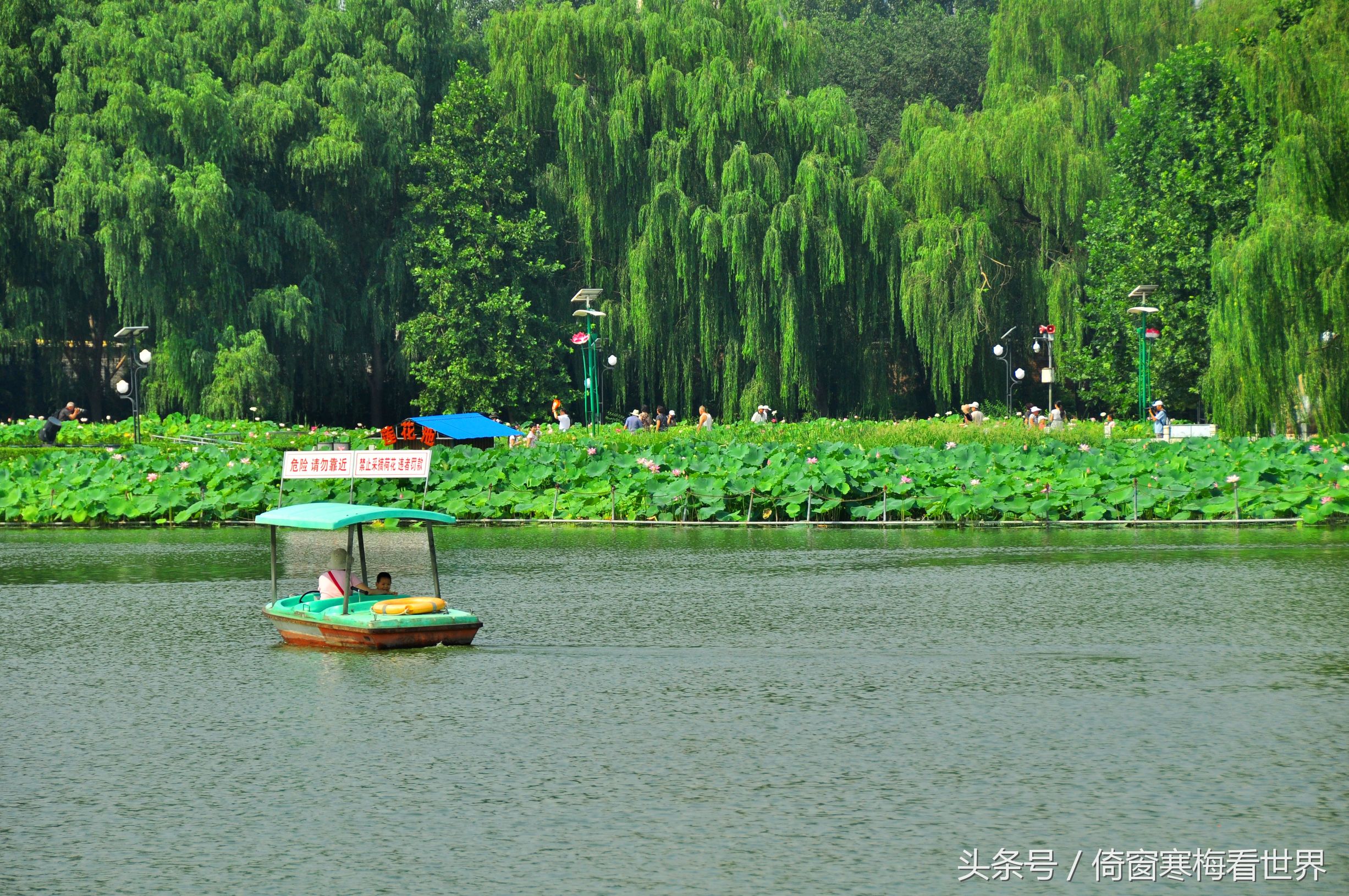 以莲花为名的景点,北京莲花池公园里有莲花亭吗
