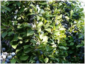 男人期待女人爱你,男人对女人的爱是永远的牵挂