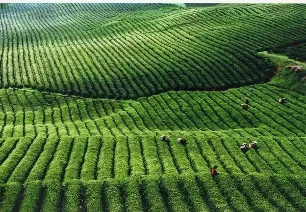 贵州各个县产值排名,贵州各县区生产总值