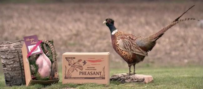 说出来你可能不信我是什么意思,说出来你可能不信是什么意思