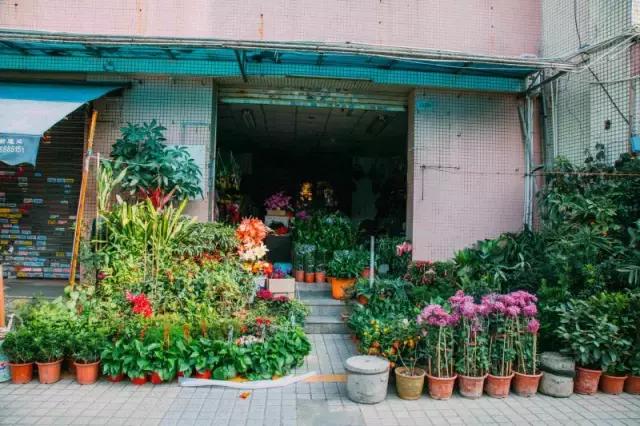 西乡县各乡镇的故事,西乡有什么故事