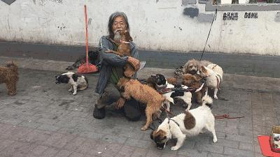 西乡县各乡镇的故事,西乡有什么故事