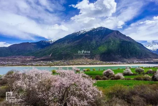 连联合国都赞不绝口的百里桃花,你真的不带她看一下吗?