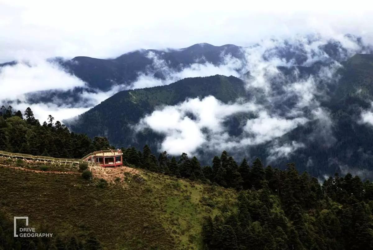 连联合国都赞不绝口的百里桃花,你真的不带她看一下吗?