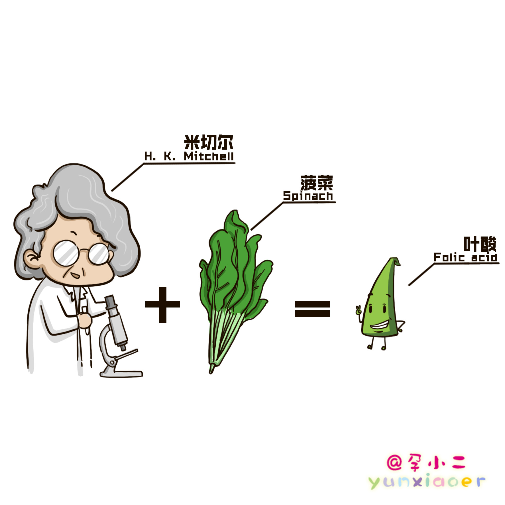 有过流产史的再次备孕如何补叶酸,备孕男性要不要补叶酸