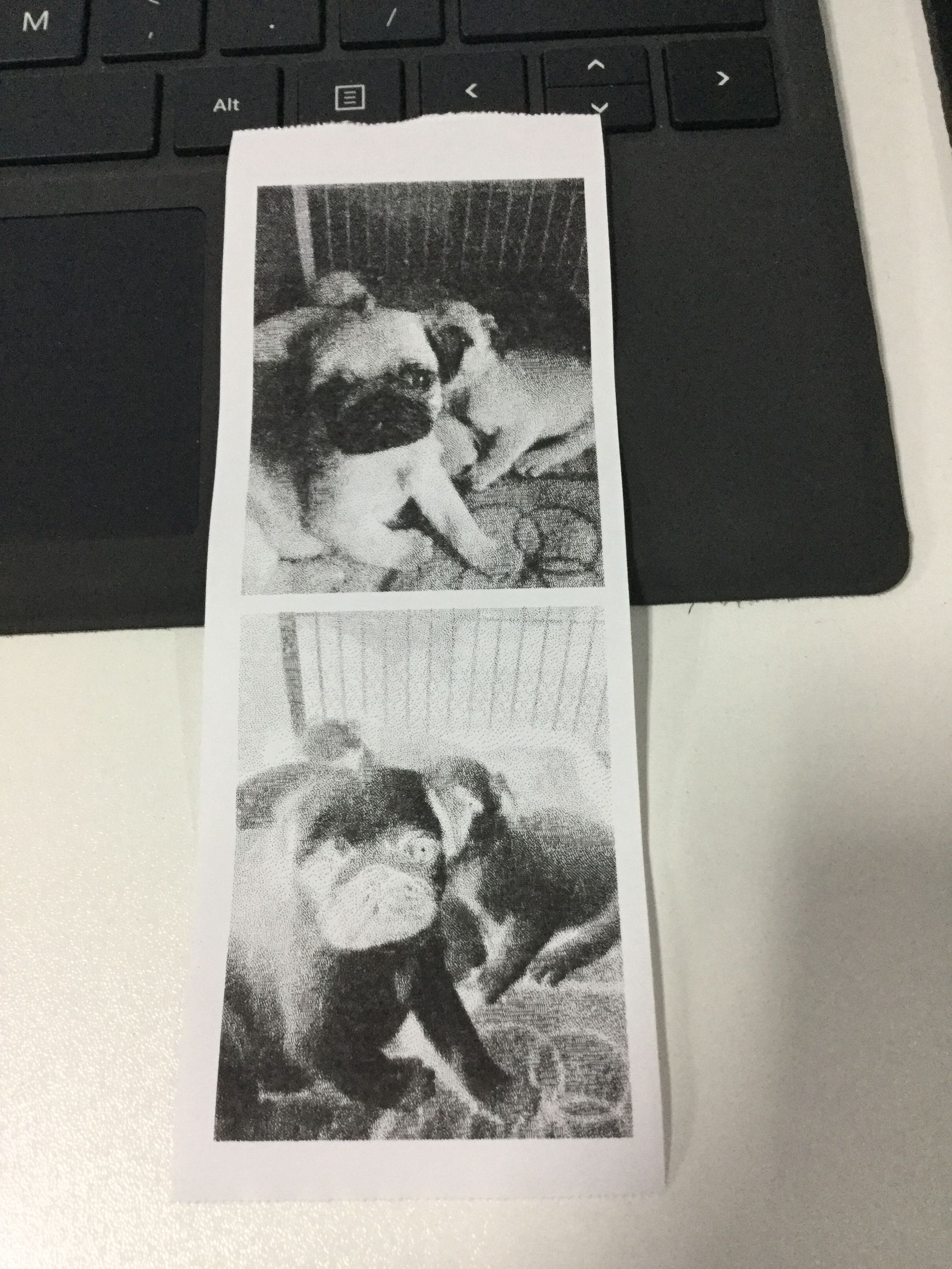 喵喵机使用感受,喵喵机有什么有趣的用法