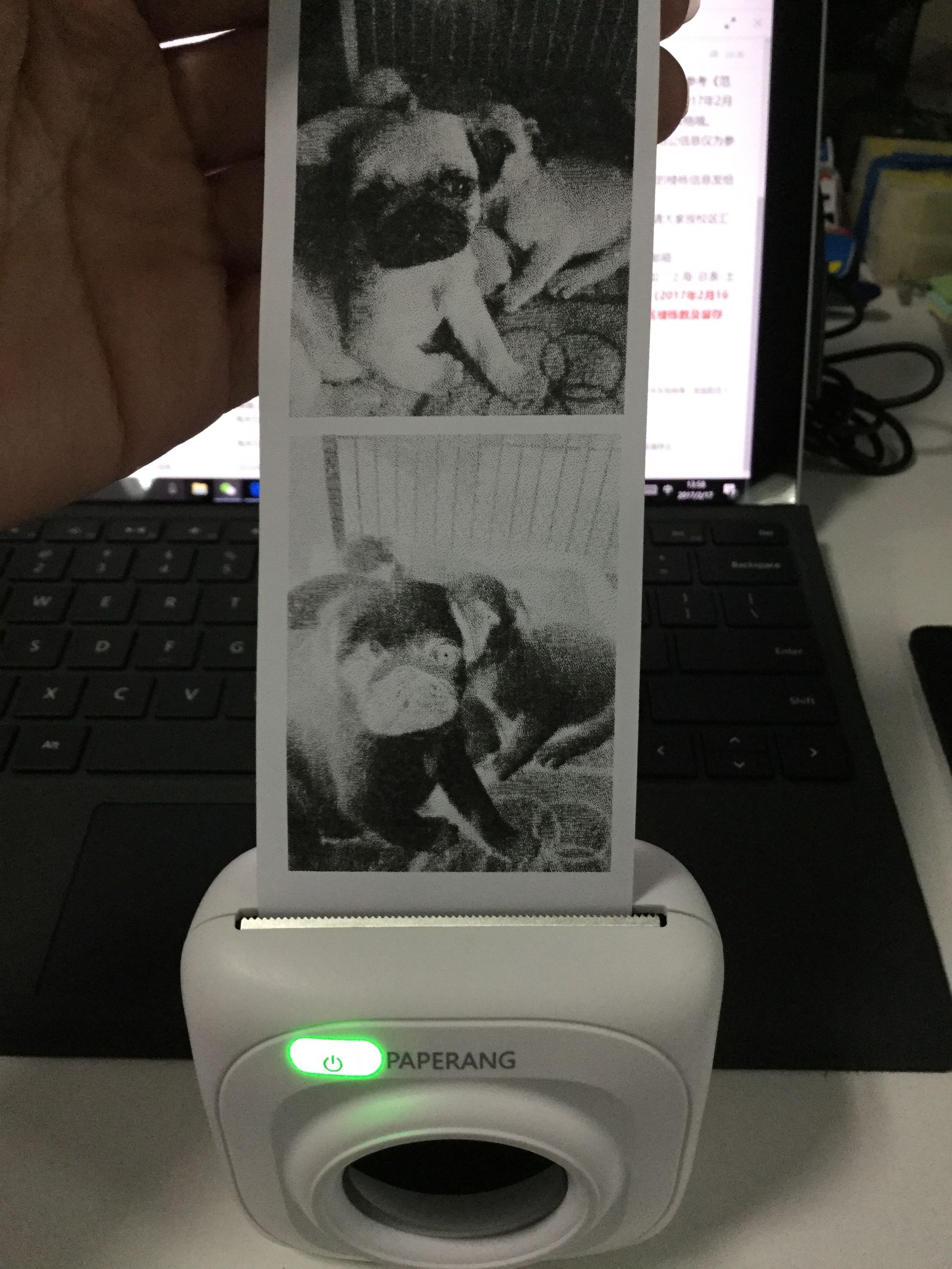 喵喵机使用感受,喵喵机有什么有趣的用法