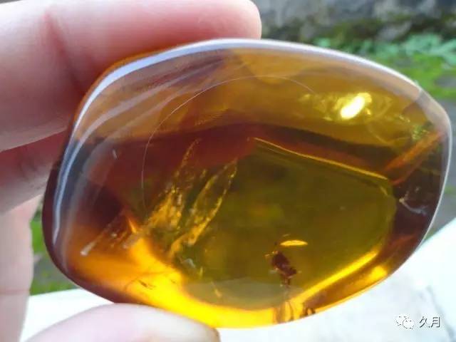 缅甸琥珀的形成过程视频,缅甸琥珀的分类及介绍