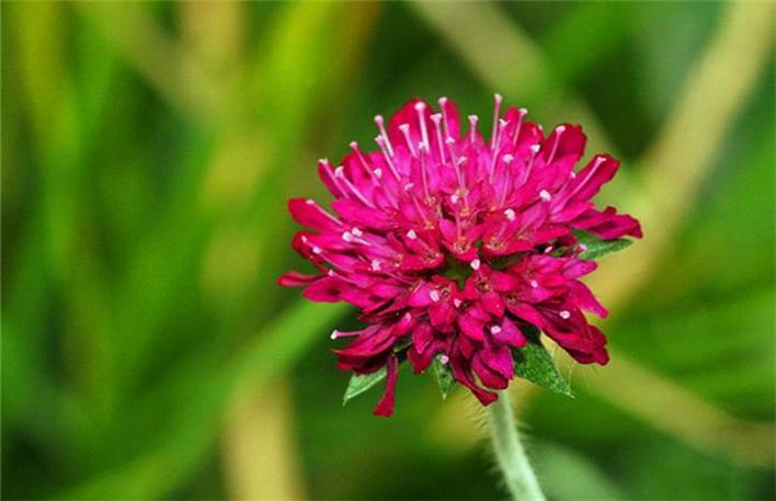 药食同源十大经方,药食同源补肾益气