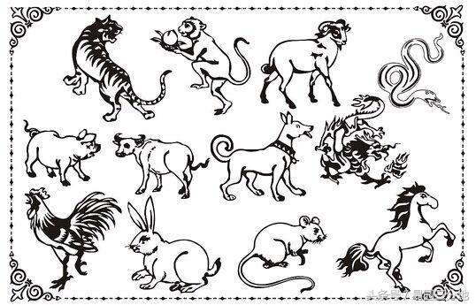 十二生肖逐月生人吉凶福禄详解,十二生肖属鸡各年份逐年流年运程