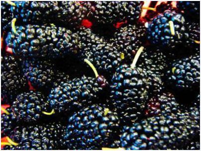 男人期待女人爱你,男人对女人的爱是永远的牵挂