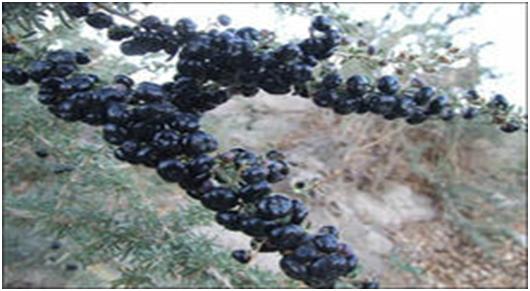 男人期待女人爱你,男人对女人的爱是永远的牵挂