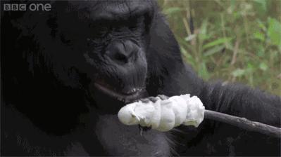 妹子你知道吗？衣服破了个口子，快点回去补补吧！