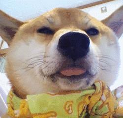 妹子你知道吗？衣服破了个口子，快点回去补补吧！