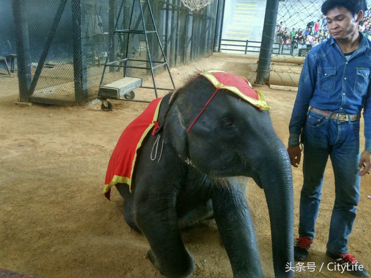 泰国芭堤雅东芭乐园,泰国芭提雅东芭公园