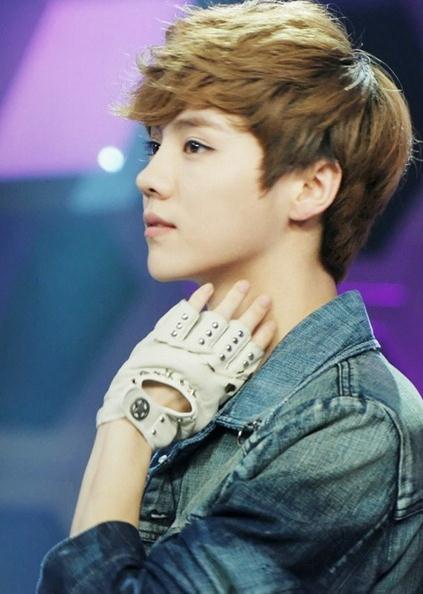 鹿晗爱好的事业,鹿晗最大的爱好是什么