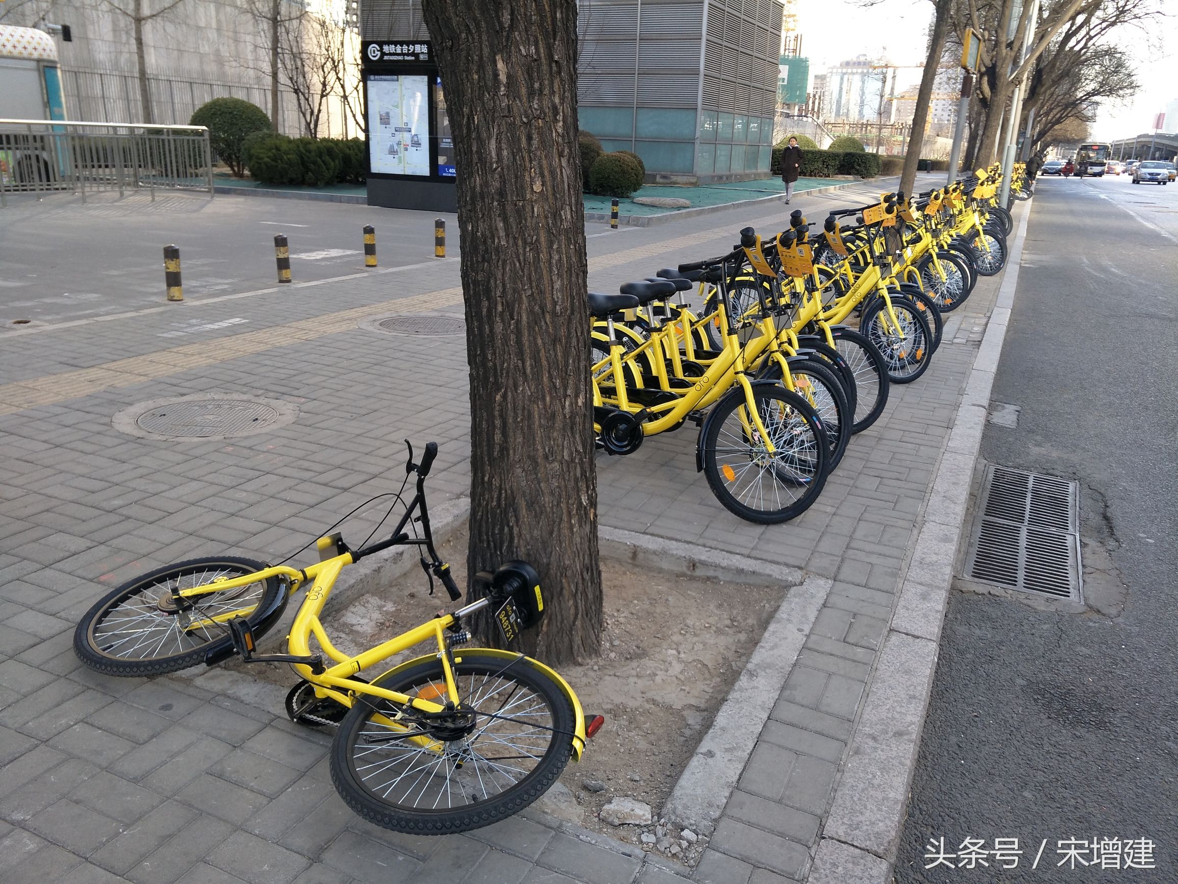 ofo小黄车被索赔是真的吗,ofo共享单车撞伤怎么赔偿