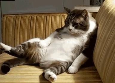 2017年，我在扶绥期待与你相遇