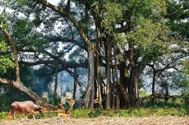 2017年，我在扶绥期待与你相遇