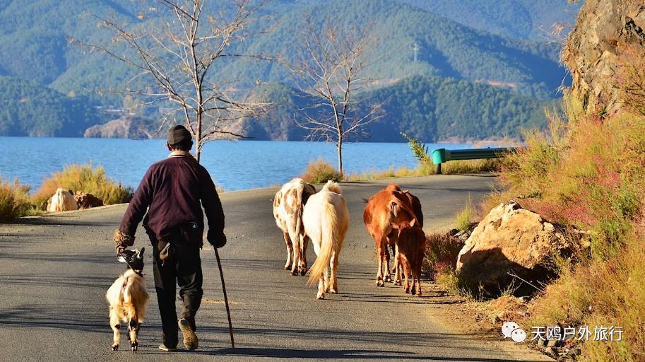 丽江去泸沽湖旅游攻略必去景点,云南泸沽湖十大著名景点排名