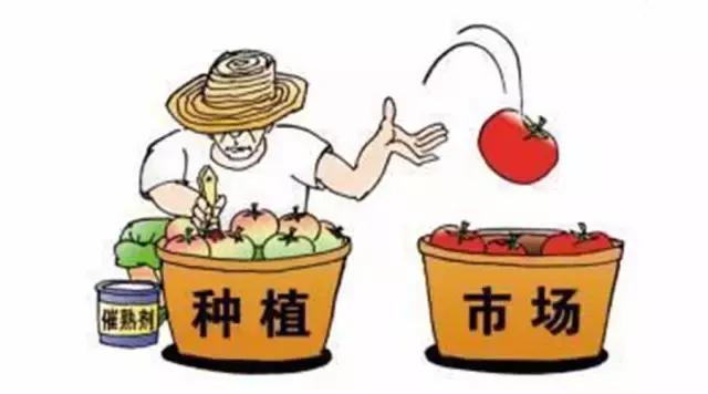 什么是当季蔬菜水果,什么是当季水果