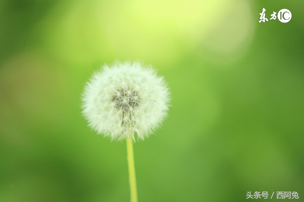 十二星座星盘抑郁症,十二星座抑郁症排名榜